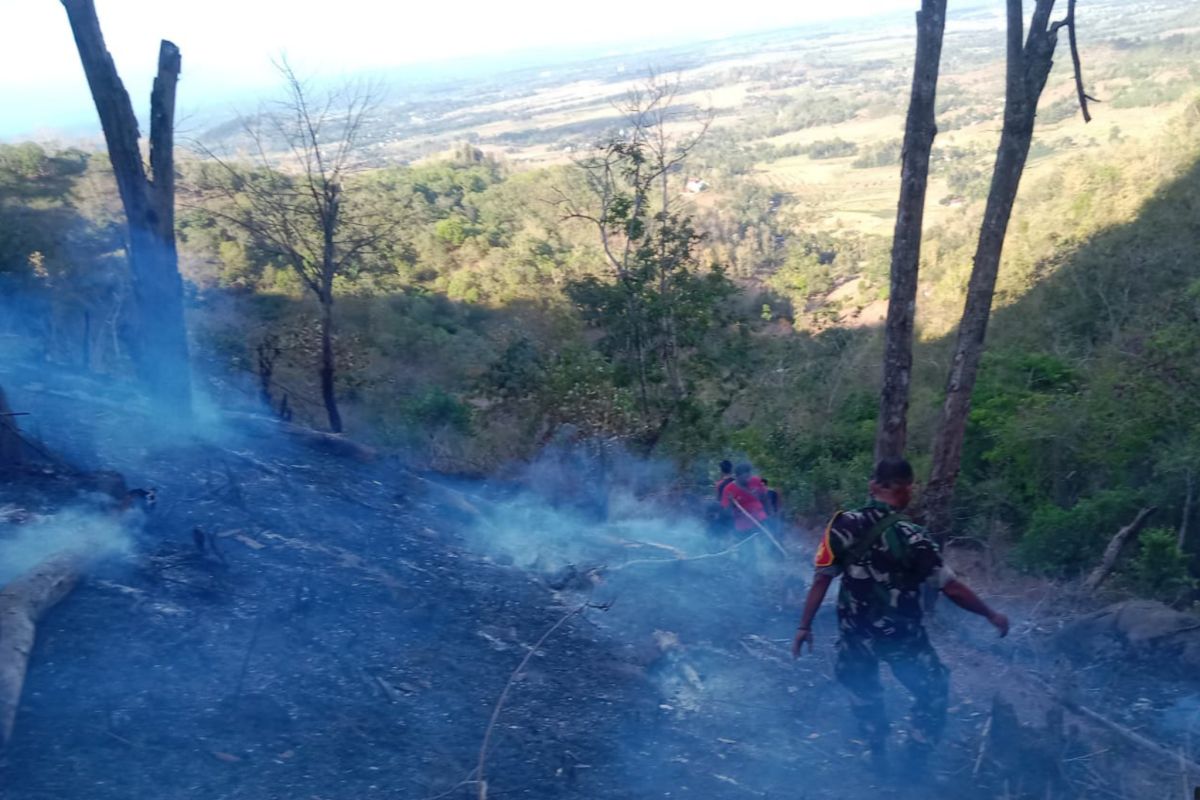 Kebakaran Hutan Lindung di Lombok Tengah: Dampak Pembersihan Lahan oleh Warga